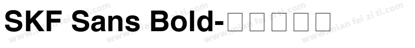 SKF Sans Bold字体转换